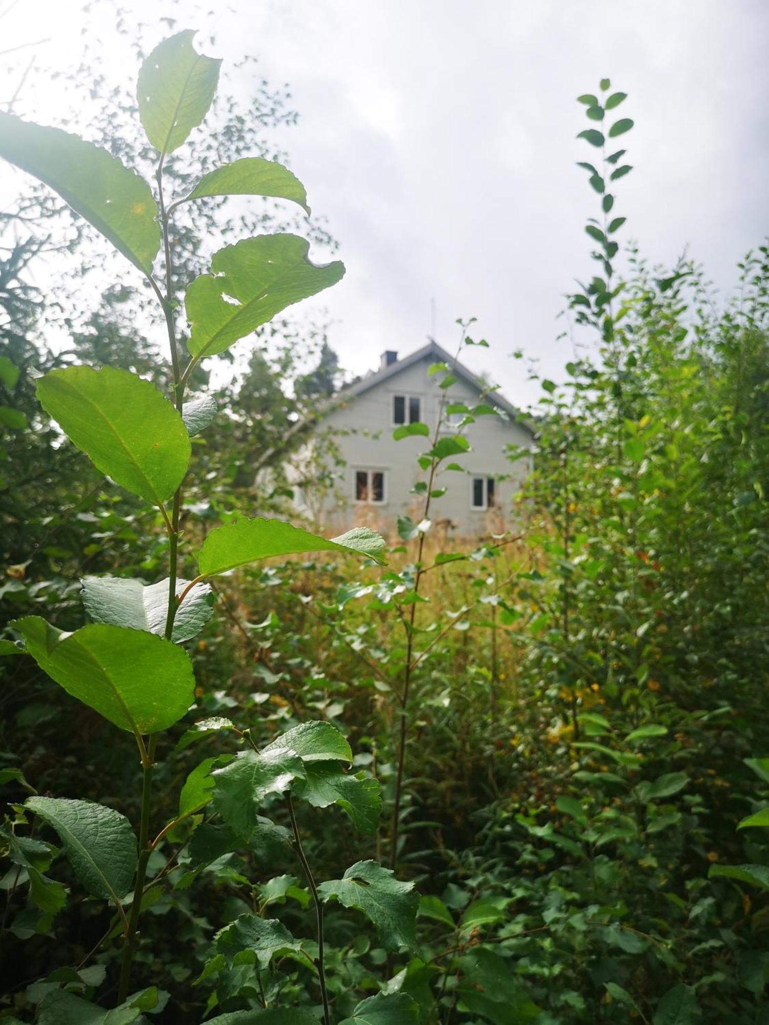 Villa Ka Stor Elvdal Koppang Dış mekan fotoğraf