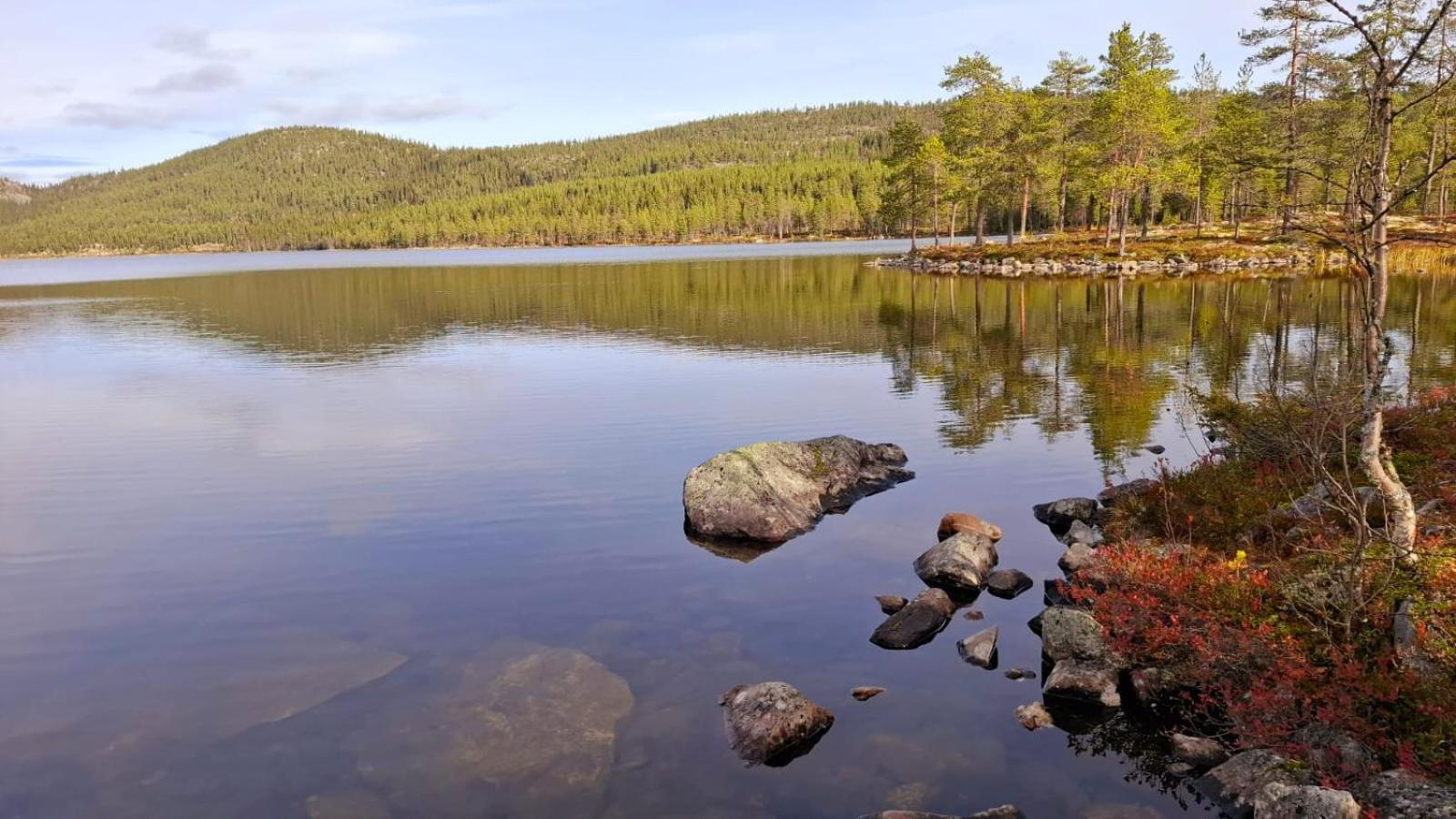Villa Ka Stor Elvdal Koppang Dış mekan fotoğraf